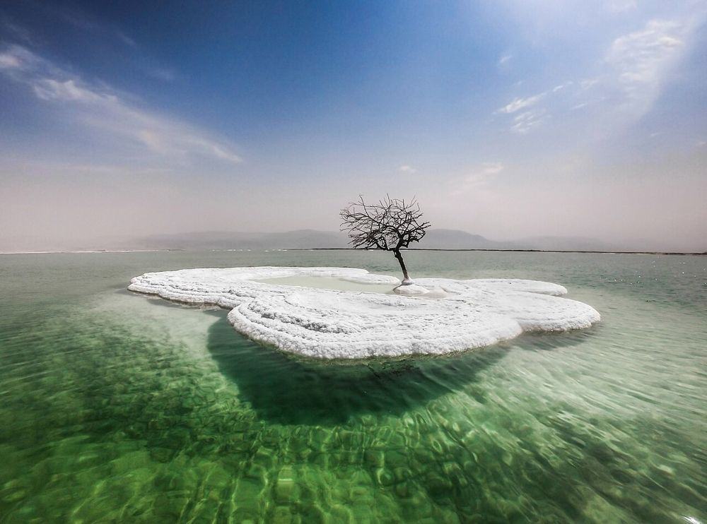 The Dead Sea
